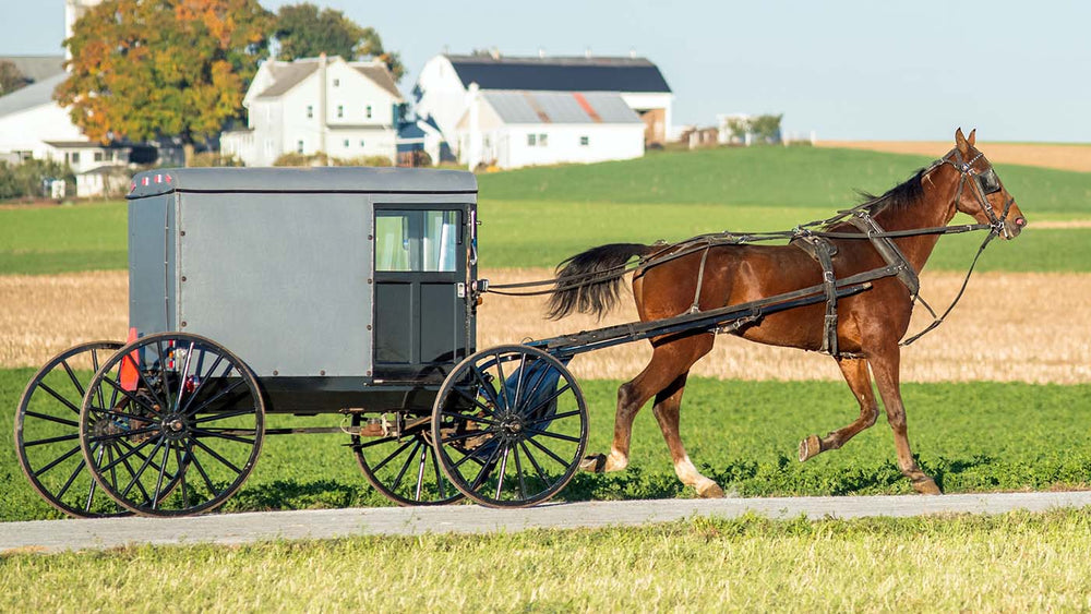 A Neighbor’s View of the Amish – Amish Baskets