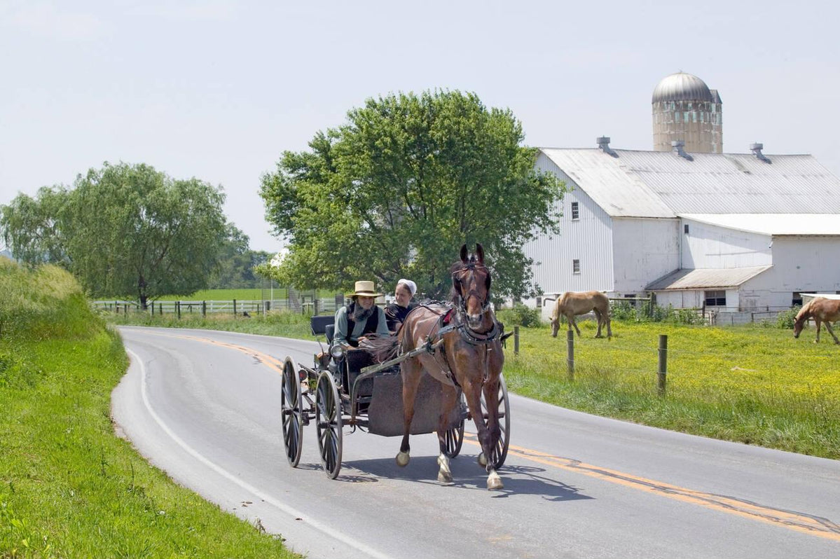 Amish Courtship (From Dating Customs To Wedding Traditions) — Amish Baskets