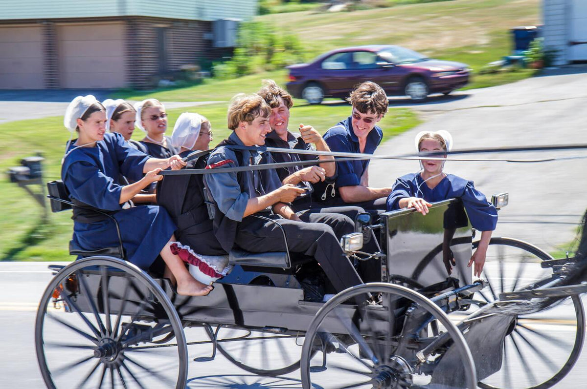 Break Spring Amish Girls