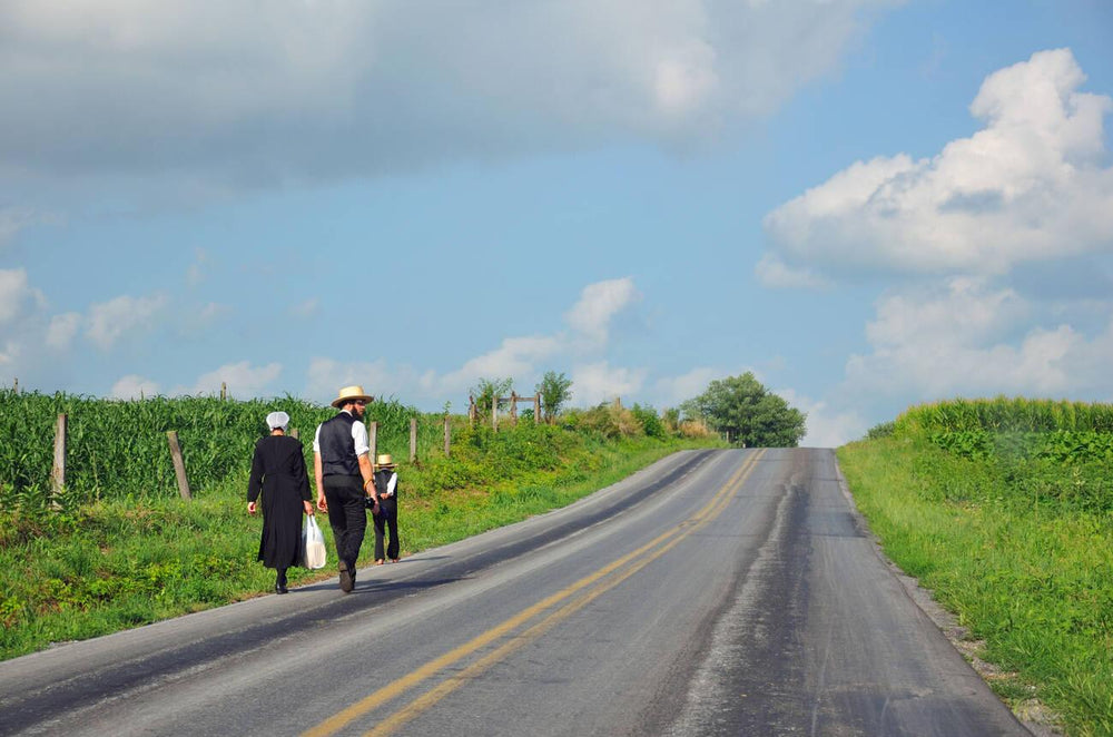 How Many Amish People Leave the Community? (amish Free Will) Amish